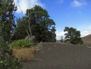 Devestation Trail